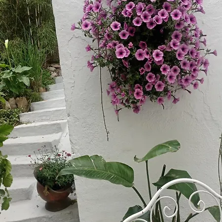 Hébergement de vacances Despertar *