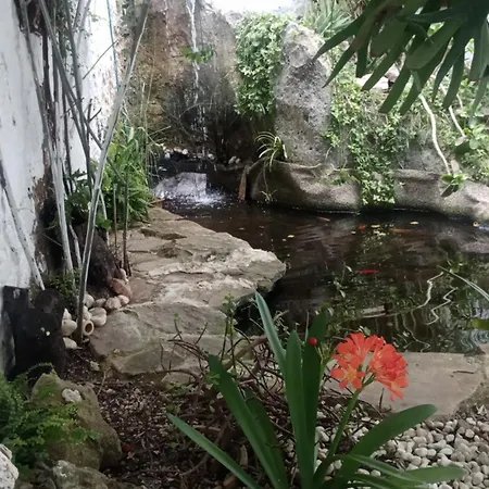 Hébergement de vacances Despertar