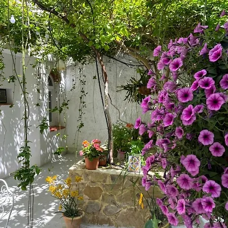 Despertar Antequera
